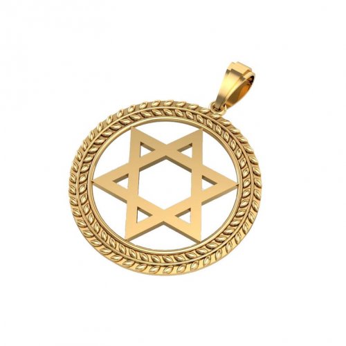 14K Gold Star of David Pendant Circular Frame with Olive Leaf Decoration