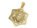 14K Gold Star of David Pendant Hear O Yisrael Shema Yisrael in Hebrew