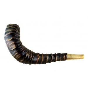 Stunning Leather-bound Ram's Horn Shofar