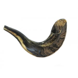 Small Ram's Horn Shofar for Kids - Dark Colors