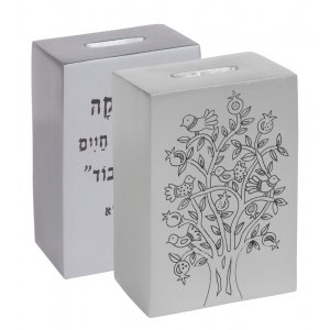 Yair Emanuel Decorative Charity Tzedakah Box with Biblical Verse - Silver