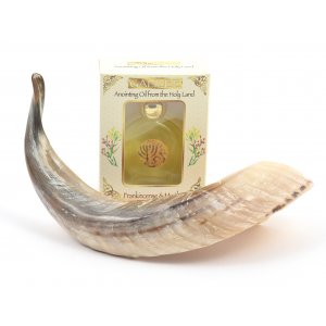 Anointing Shofar Made of a Natural Ram's Horn + Galilee Anointing Oil Frankincense and Myrrh