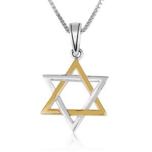 Sterling Silver and Gold Plated Pendant Necklace  Interlocking Stars of David