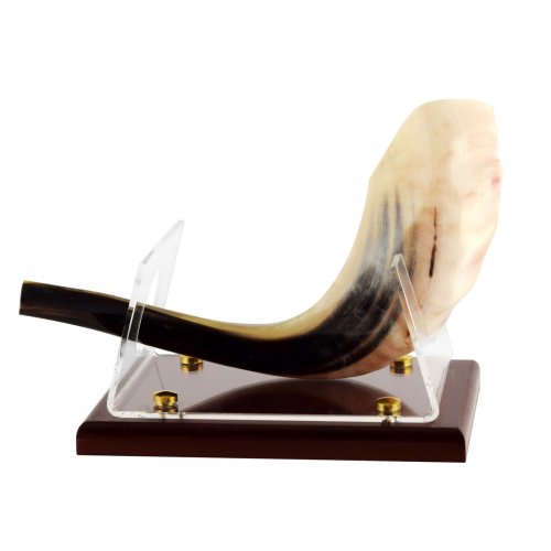 Acrylic Shofar Stand on Wood Base for Ram's Horn Shofar