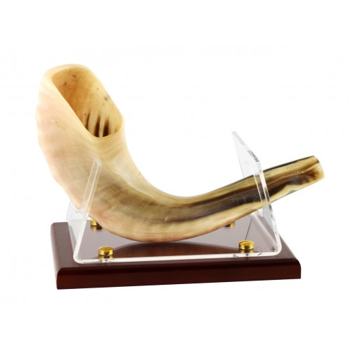 Acrylic Shofar Stand on Wood Base for Ram's Horn Shofar