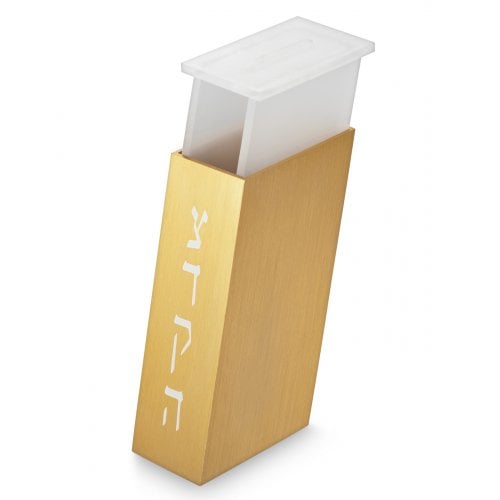 Adi Sidler Contemporary Brushed Aluminum Tzedakah Charity Box - Gold