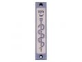 Agayof Mezuzah Case with Healing Snake Image in Light Colors - 4 Inches Height