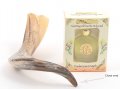 Anointing Shofar Made of a Natural Ram's Horn + Galilee Anointing Oil Frankincense and Myrrh