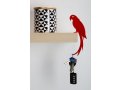 Art Ori, Parrot Polly's Tail Weight Hanger on the Shelf