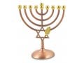 Bronze Color Chanukah Menorah with Star of David and Leaf Design - 7 Inches