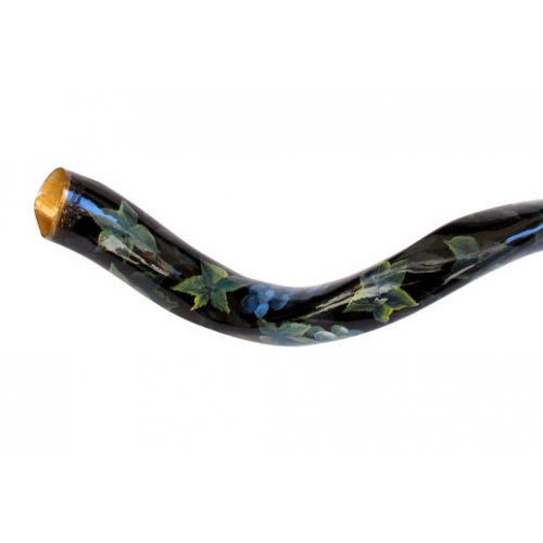 Collectors Hand Painted Yemenite Shofar - Grapevine