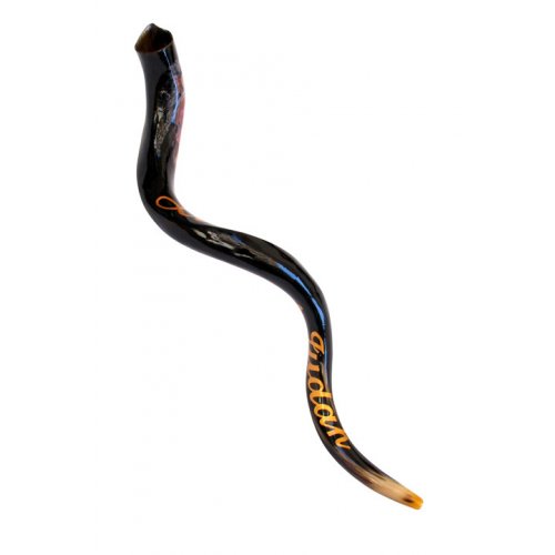 Collectors Hand Painted Yemenite Shofar - Lion of Judah