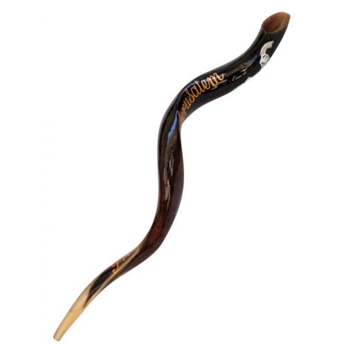 Collectors Hand Painted Yemenite Shofar - Peace of Jerusalem