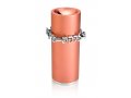 Dabbah Judaica Anodized Aluminum Tzedakah Box - Pink