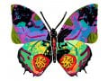 David Gerstein Double Sided Steel Wall Sculpture - Hadar Butterfly