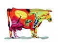 David Gerstein Free Standing Double Sided Steel Sculpture - Dora Cow