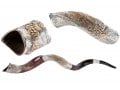 Decorative Yemenite Shofar with Sterling Silver Jerusalem and Olive Images