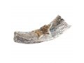 Decorative Yemenite Shofar with Sterling Silver with Menorah, Star of David and Olives