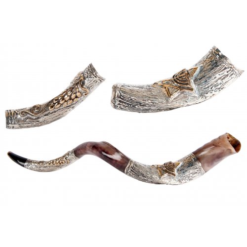 Decorative Yemenite Shofar with Sterling Silver with Menorah, Star of David and Olives