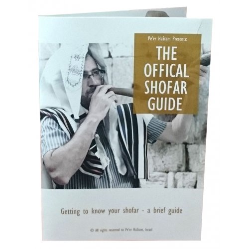 Distinctive Leather-bound Ram's Horn Shofar  Menorah Design