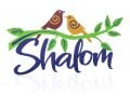 Dorit Judaica Colorful Shalom Wall Plaque, Doves on Olive Branch  English