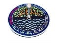 Dorit Judaica Decorative Tree of Life Dreidel with Stand - Hebrew Psalm Words