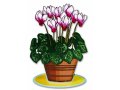 Dorit Judaica Free-Standing Sculpture - Colorful Bouquet of Cyclamen