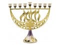 Enamel Menorah with Star of David & Chanukah, Gold and Purple - For Decoration