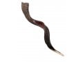 Extra Large Yemenite Kudu Shofar - Half Polished Half Natural