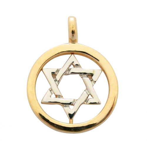 Gold Filled Pendant, Two Tone Star of David Pendant in Circle