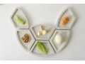 Graciela Noemi Handcrafted Modular Passover Seder Plate - White