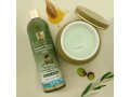 H&B Olive Oil and Honey Treatment Shampoo with Dead Sea Minerals