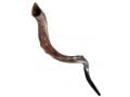 Half Natural Half Polished Nostalgic Crown Yemenite Shofar