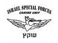 IDF 