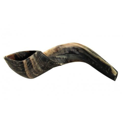 Large Black Rams Horn Shofar - Natural