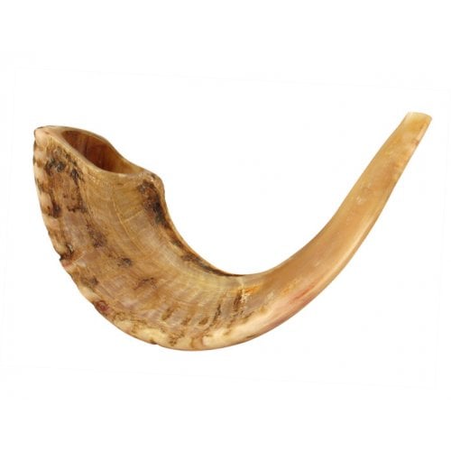 Large Rams Horn Shofar with Light Shades - Natural Finish