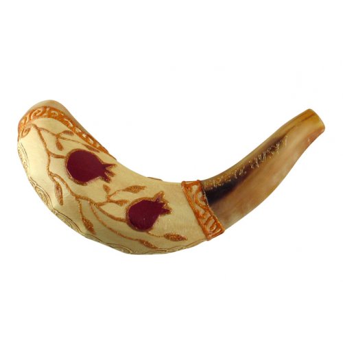 Light Hand Painted Rams Horn Shofar - Pomegranate