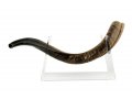 Lucite Stand Fits Yemenite Shofar 22-40 Inches Length