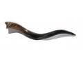 Medium Yemenite Shofar - Polished