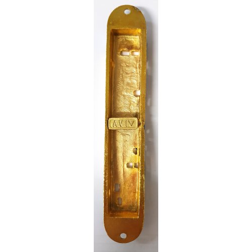 Mezuzah Case with Hamsa, Star of David and Jerusalem Images - Gold and Purple