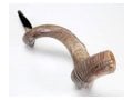 Nostalgia Crown Design Yemenite Shofar - Natural