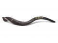 Personalized Shofar - Yemenite Kudu Horn Inscribed with Name