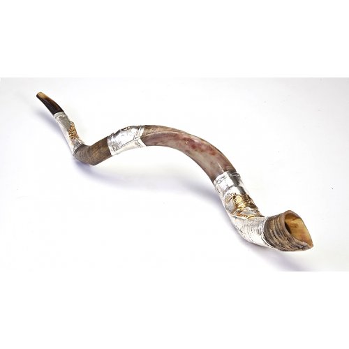 Silver Yemenite Shofar - Temple in Jerusalem