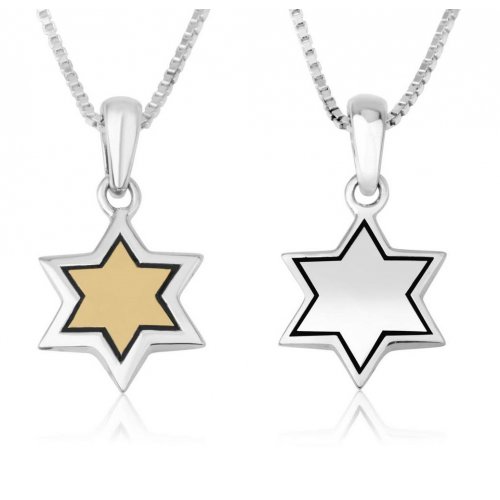 Star of David Pendant Necklace - Gold Plate and Sterling Silver