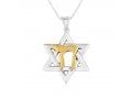 Sterling Silver Pendant Necklace, Star of David Pendant and 14K Gold Plated Chai