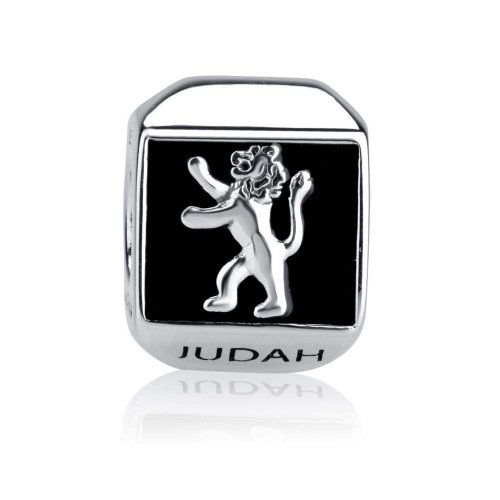 Sterling Silver Square Lion of Judah Charm