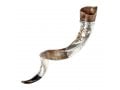 Temple Menorah Star of David Silver Yemenite Shofar