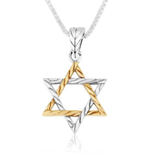 Two Tone Sterling Silver and Gold Plated Braided Star of David Pendant Necklace